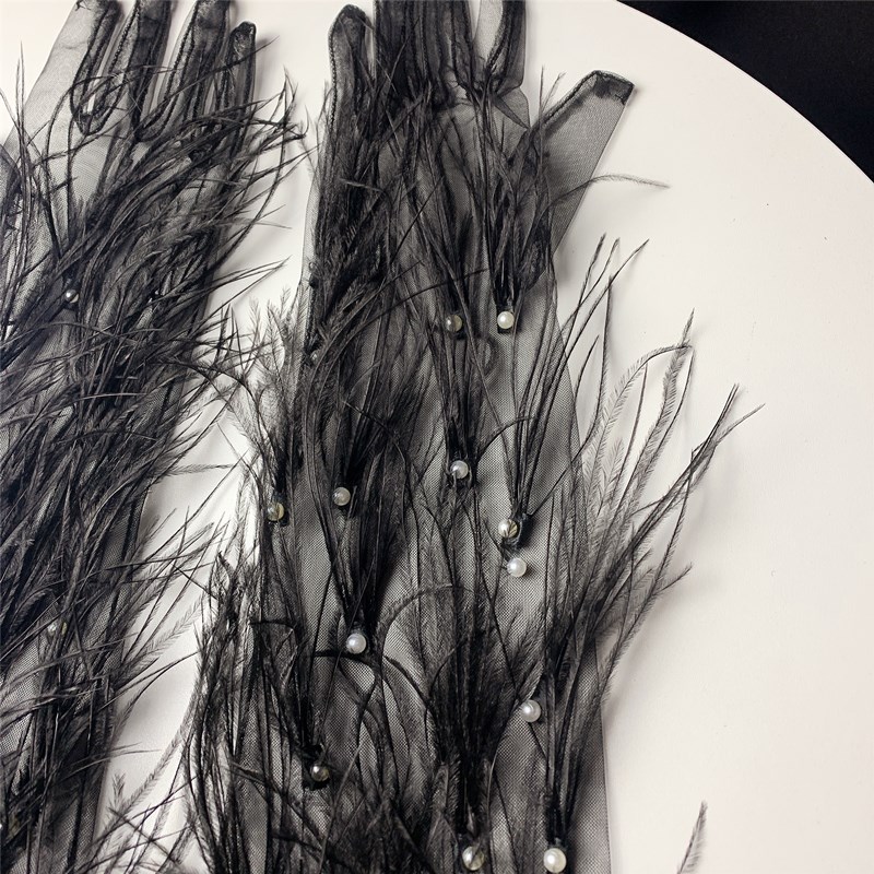 Women's Elegant Black Feather  - Vintage Fashion Photographers 评论和价格