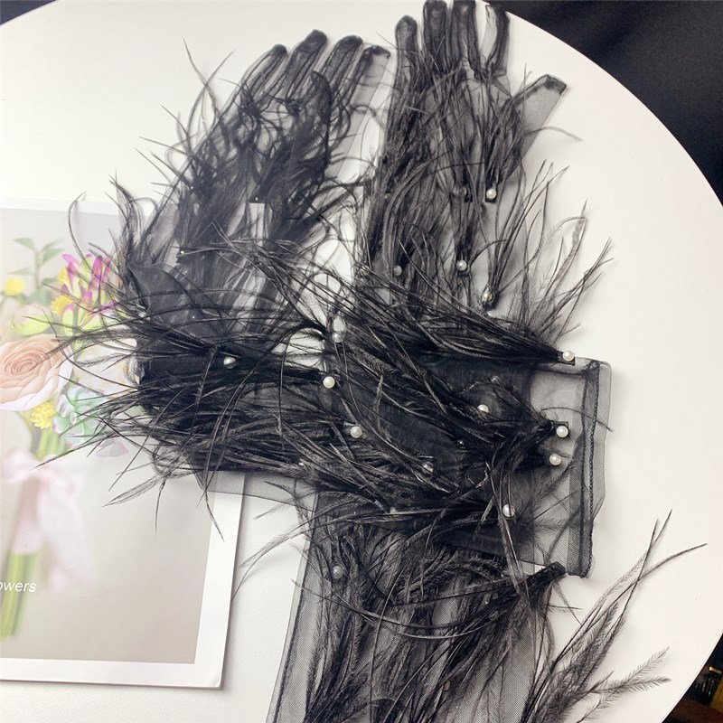 Women's Elegant Black Feather  - Vintage Fashion Photographers 评论和价格